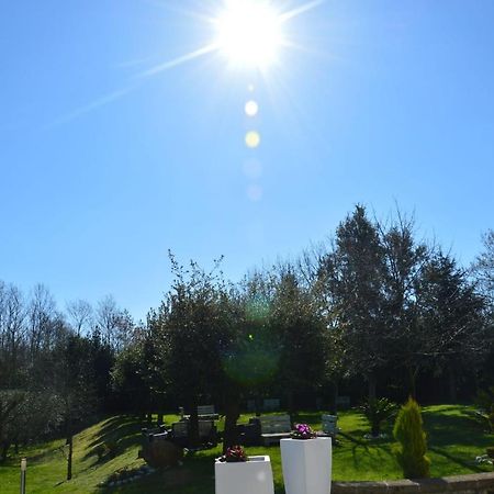 Vila Tenuta Terra Tefra Conca della Campania Exteriér fotografie